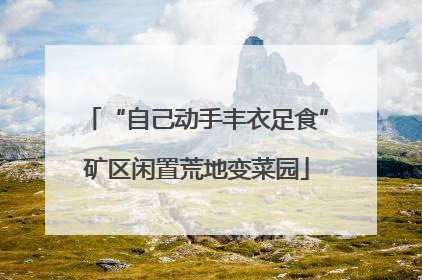 “自己动手丰衣足食”矿区闲置荒地变菜园